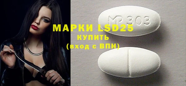 гидра Кодинск