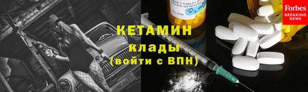 гидра Кодинск