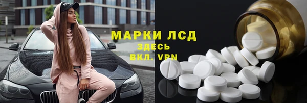 гидра Кодинск