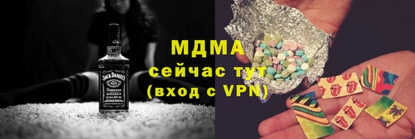 гидра Кодинск