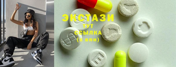 гидра Кодинск