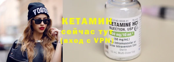 гидра Кодинск