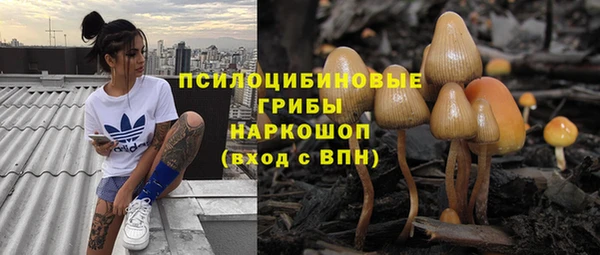 гидра Кодинск