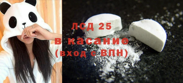 гидра Кодинск