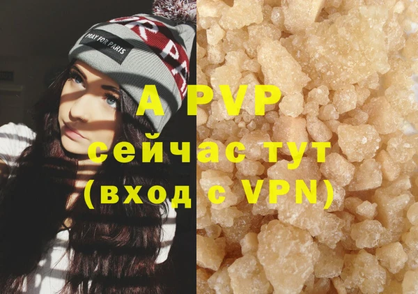 гидра Кодинск
