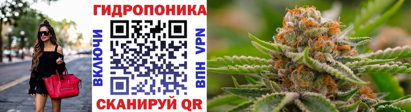 Каннабис конопля  Купить закладки  Бакал 